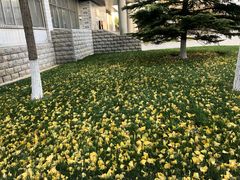 -北京联合大学(北四环校区)