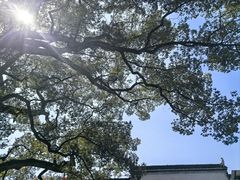 -上坦村