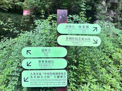-中国茶叶博物馆(双峰馆区)