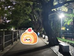 -晓港公园