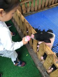 -萌宠亲子动物乐园(槐房万达店)