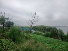 -阳澄湖半岛旅游度假区