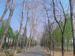 -东郊湿地公园