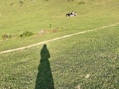 -大姆山草场