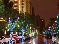 -上海浦东星河湾酒店