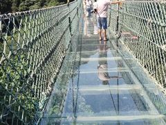 -梦幻奥陶纪景区