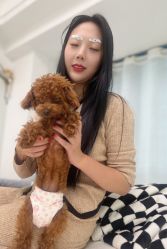 -韩美绣·骨相纹眉·洗眉美瞳线