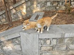 -四门塔风景区
