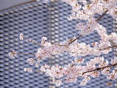 -龙美术馆(西岸馆)