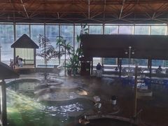 -汤泊温泉度假村