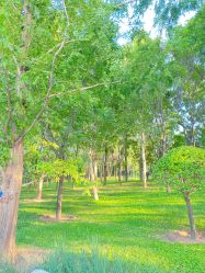 -大望京儿童游乐场