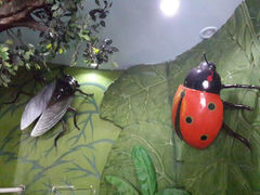 android_upload_pic-上海大自然野生昆虫馆