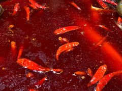 牛油红锅-蜀大侠火锅(建设路第五大道店)