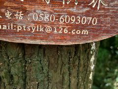 -普陀山风景名胜区-法雨禅寺