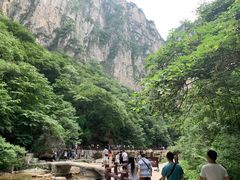 -云台山风景名胜区