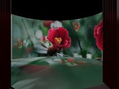 -交通银行前滩31演艺中心