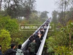 -千岛湖天屿景区