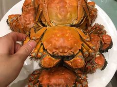 -王宝和酒家(黄浦店)