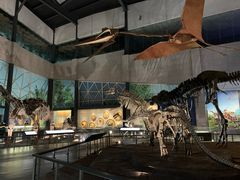 -湖南省地质博物馆