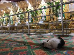 -ခြောက်ထပ်ကြီးရွှေသာလျောင်းဘုရားကြီး