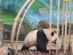 -杭州动物园