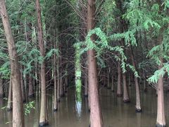 -捞渔河湿地公园