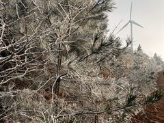 -东白山