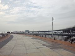 -演武大桥观景平台