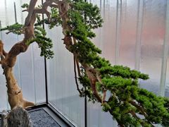 -百富源·海鲜辽菜(和平北大街店)