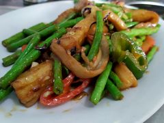 茄子豆角-蚝专家
