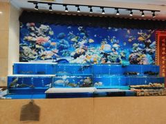 -聚宝渔港.五钻酒家(上地店)