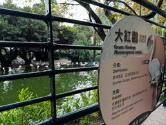 -九龙公园