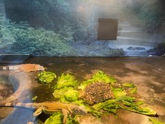 -上方山森林动物世界