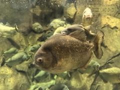 -洛阳龙门海洋馆