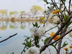 -无锡蠡湖国家湿地公园-蠡园