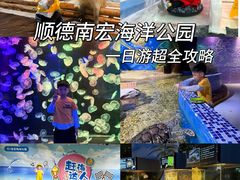 -顺德南宏海立方海洋公园
