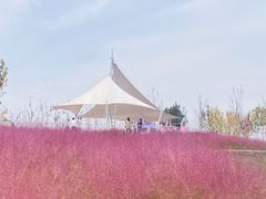 -西安浐灞国家湿地公园