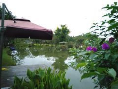 -洪湖家庭农场·团建·露营·会议