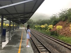 -黄金寨原生态旅游区