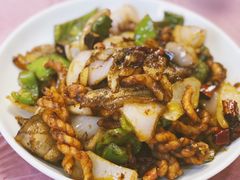 麻花回锅肉-乐乐餐厅(湘子庙街店)