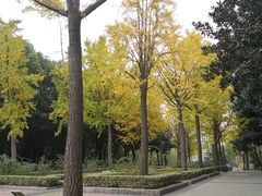 -苏州河梦清园环保主题公园