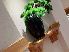 -上座云间·青年赣菜(绿茵店)