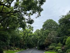 -浙江西子宾馆·瑶园咖啡厅