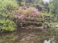 -黔灵山公园