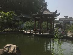 -广州神农草堂中医药博物馆