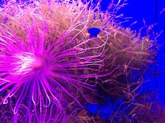 -多彩贵州城极地海洋世界