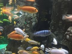 -太平洋海底世界