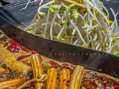 -阳阳老火锅(小南门店)