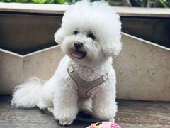 -去茶山(新光里店)