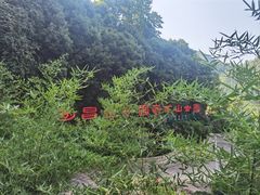 -遂昌金矿国家矿山公园